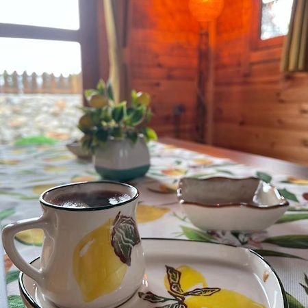 Villa Andizalti Doga Evleri Limon Ev Datça Exterior foto